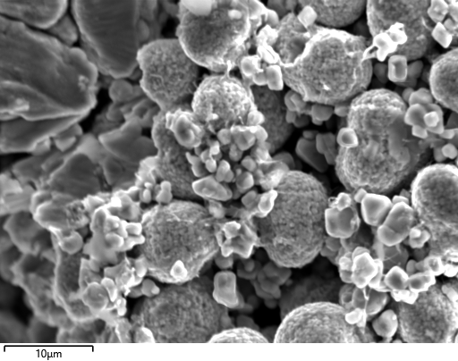 Secondary electron image showing NCM811 powder particles.